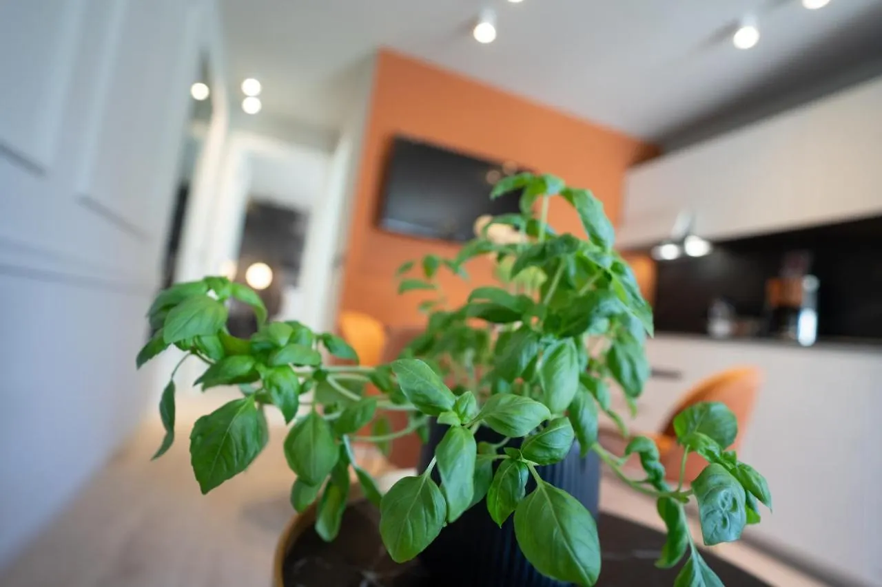 Prestige Studio Apartment Rovinj